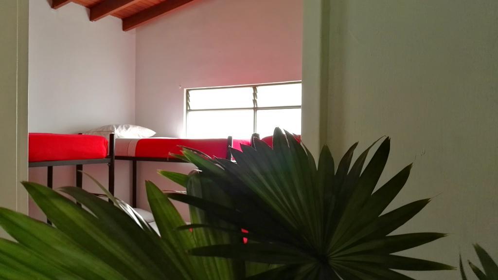 Saman Hostel Medellin Exterior photo